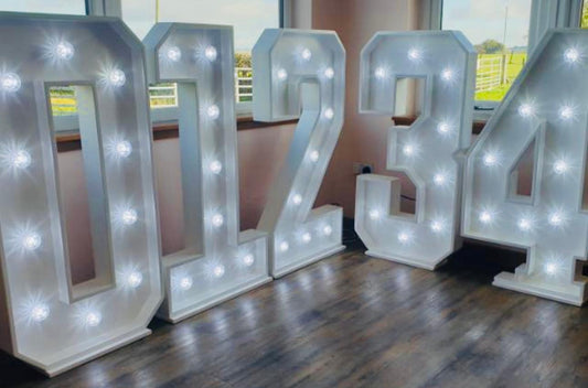 4Ft LED Numbers
