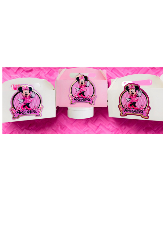 Large Party Favour/ Party Box ANY Theme